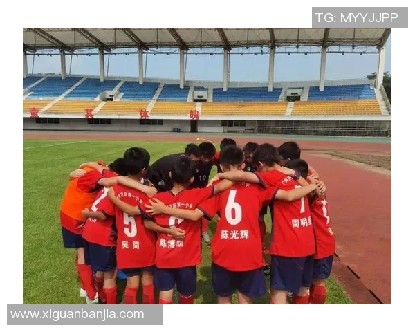 汉堡足球队奋勇争先展现团队精神与竞技风采的辉煌历程 汉堡足球队奋勇争先展现团队精神与竞技风采的辉煌历程