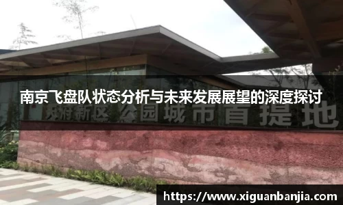 南京飞盘队状态分析与未来发展展望的深度探讨